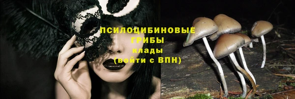 кокаин премиум Новозыбков