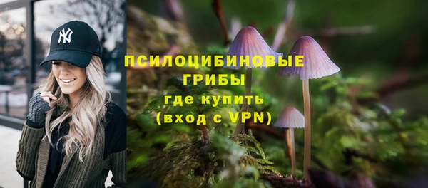 прущие крисы Новодвинск