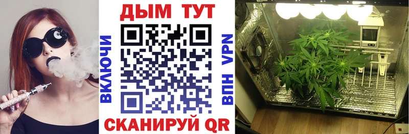 Бошки Шишки конопля  Власиха 
